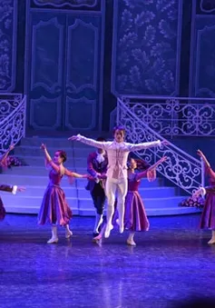 Thay áo mới cho nghệ thuật Hàn lâm 